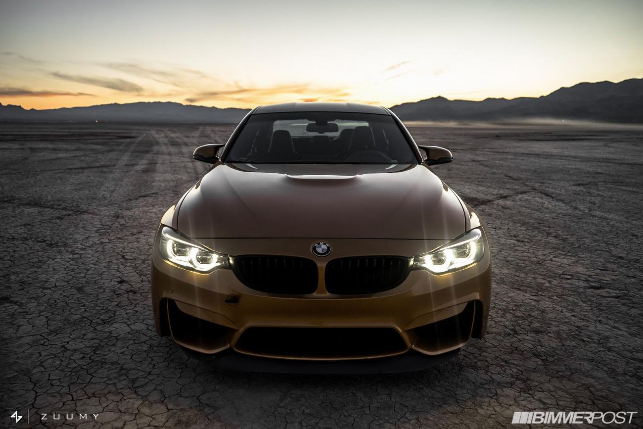 sunburstgold-f80m3-30.jpg