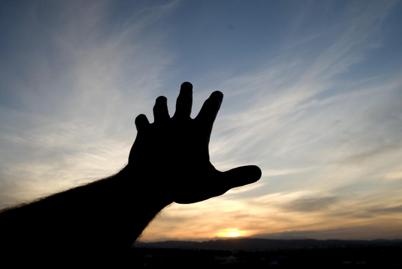 reaching.jpg.356ef506e6dd7b54fd909133ea4462a0.jpg