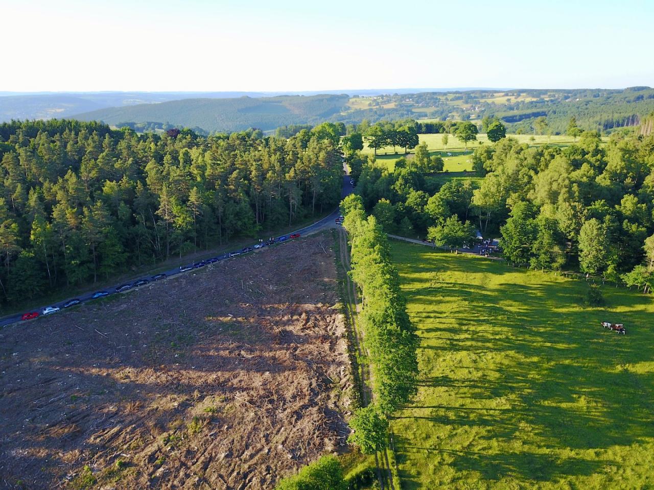 DJI_0025.jpg.d6249a1cf9461ce02454b9ed5c8c1d3d.jpg