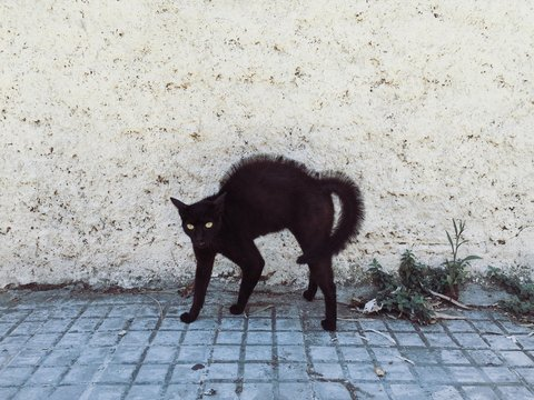 image.png.0cf07b523b0edefe40668e30b2282b9c.png