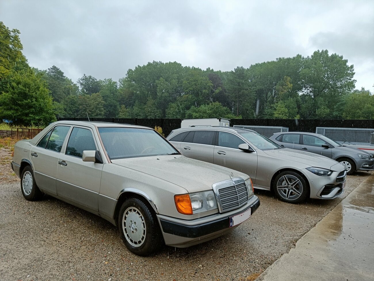 IMG20230724100652.jpg