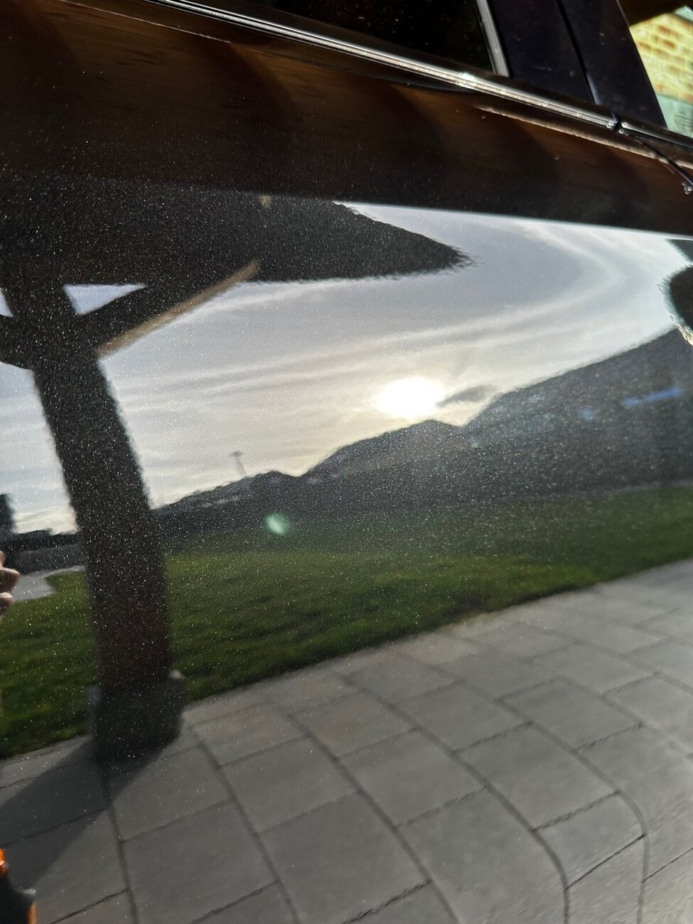 IMG_0970.thumb.jpeg.d2ef31bf7857dfd5b568ea9bdb7a6226.jpeg