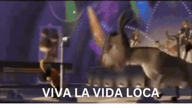 image.gif.61907985282e7d4261250c45fef22f62.gif